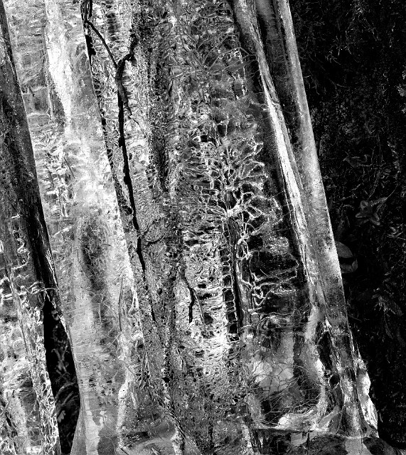 Icicle 13-3009  bw.jpg